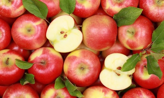 Cuida tu salud con estos 10 tips