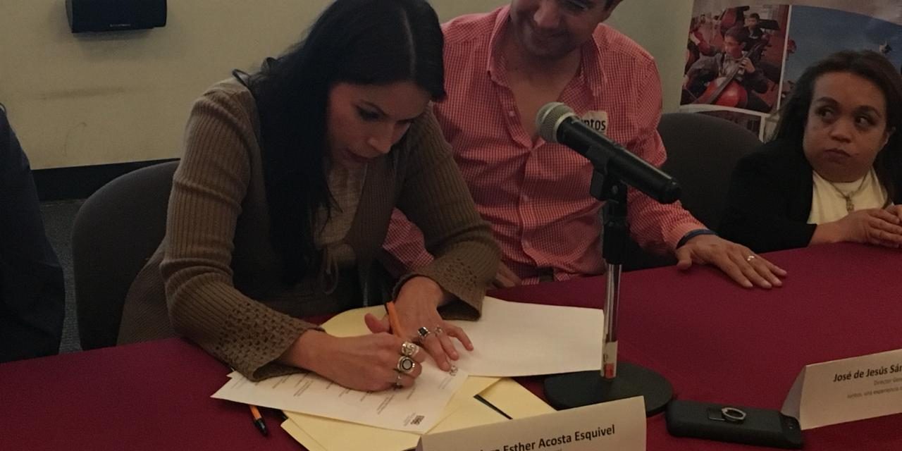 Preocupa fenómeno de la violencia contra las mujeres discapacitadas.