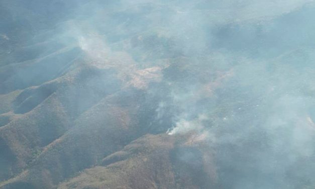 Controlados los incendios en 80% en distintos puntos del Estado.