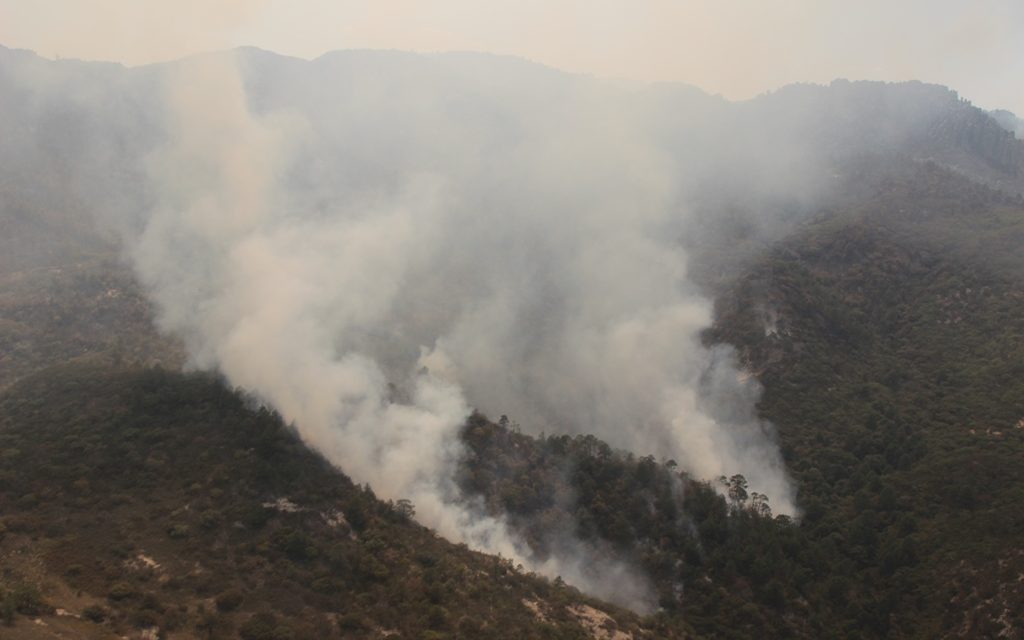 Vigentes 5 incendios forestales en SLP, y suma ya 23 en lo que va del año.