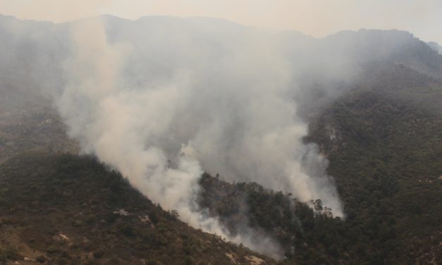 Vigentes 5 incendios forestales en SLP, y suma ya 23 en lo que va del año.