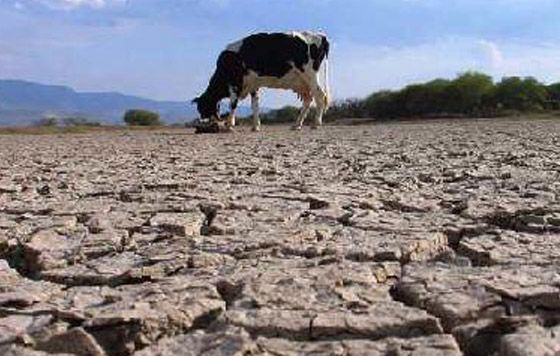 Aprueban para SLP 105.9 MDP para seguro agrícola catastrófico.