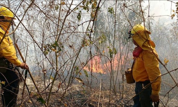 Solo dos incendios forestales activos en SLP.