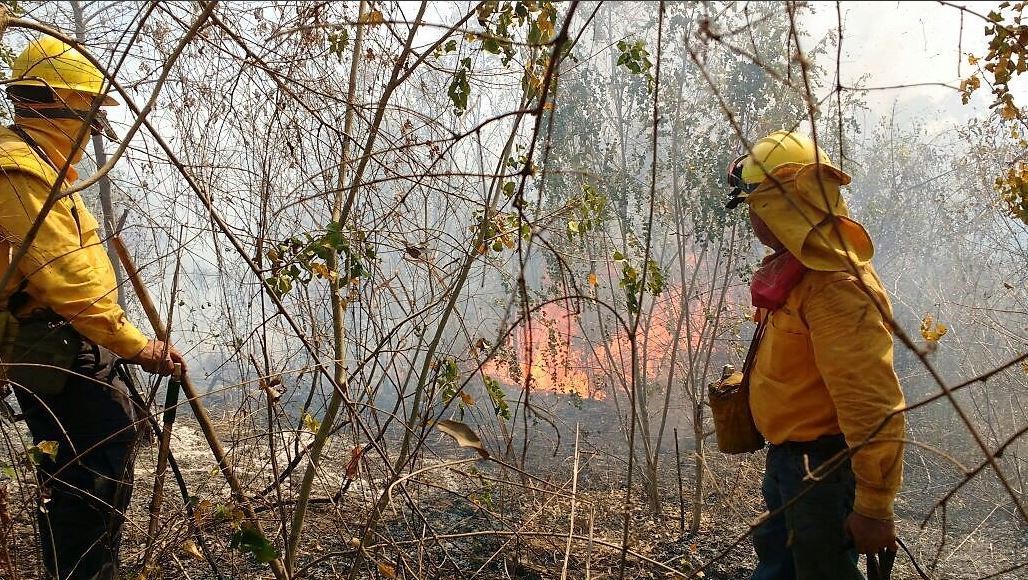 Solo dos incendios forestales activos en SLP.
