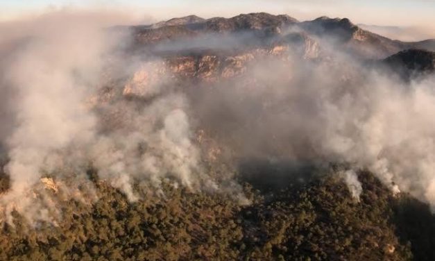 CONAFOR recomienda no ingresar a la sierra de San Miguelito.