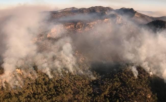 CONAFOR recomienda no ingresar a la sierra de San Miguelito.
