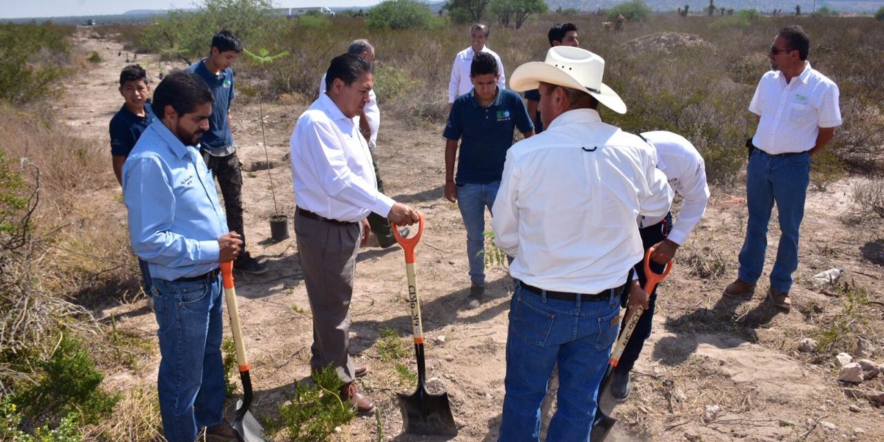 Fomenta ayuntamiento de Soledad cultura del cuidado forestal.