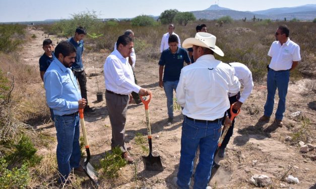 Fomenta ayuntamiento de Soledad cultura del cuidado forestal.