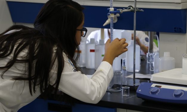 Planta “Gobernadora” podría ser útil para complicaciones diabéticas de acuerdo a investigadores.