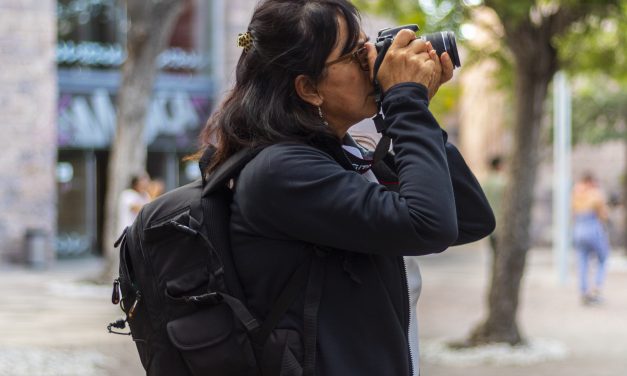 Ceart anuncia sus cursos de verano