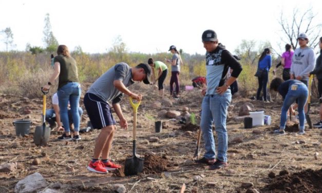 Continúan las actividades de reforestación en la capital potosina