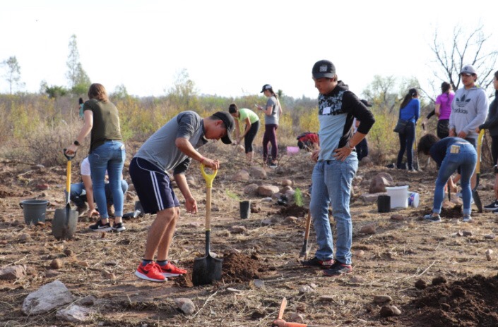 Continúan las actividades de reforestación en la capital potosina