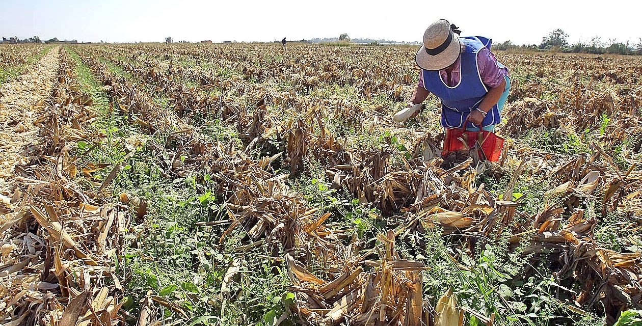 Impulsan SEDARH Y CONAZA proyectos estratégicos de desarrollo territorial.