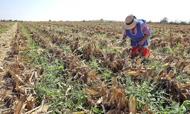 Impulsan SEDARH Y CONAZA proyectos estratégicos de desarrollo territorial.
