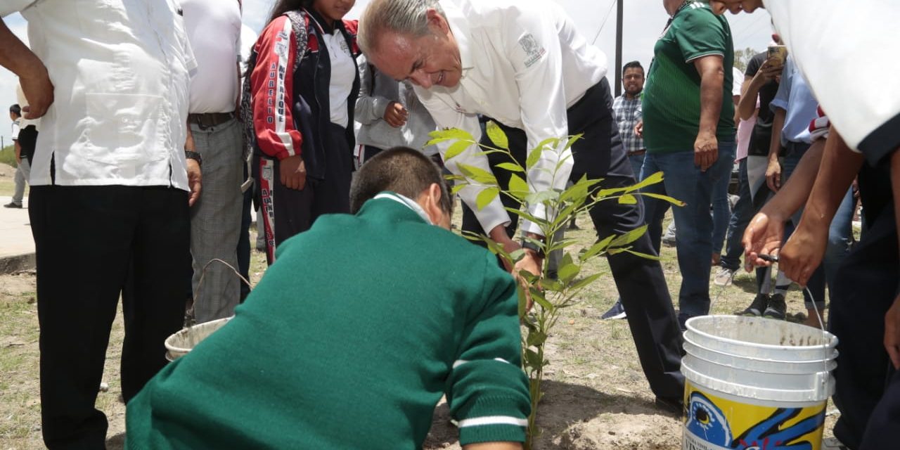 Pide SEGAM, unirse actividades reforestación en el marco del día mundial del Árbol.