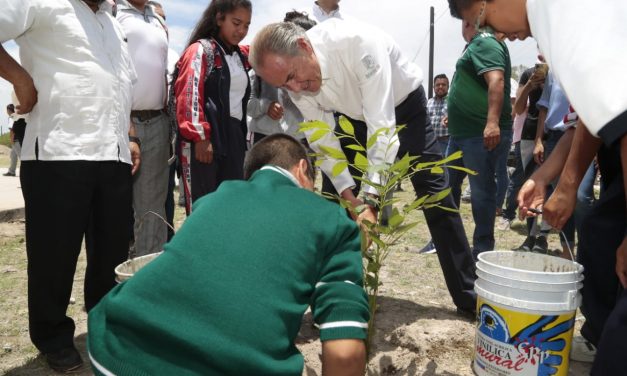 Pide SEGAM, unirse actividades reforestación en el marco del día mundial del Árbol.