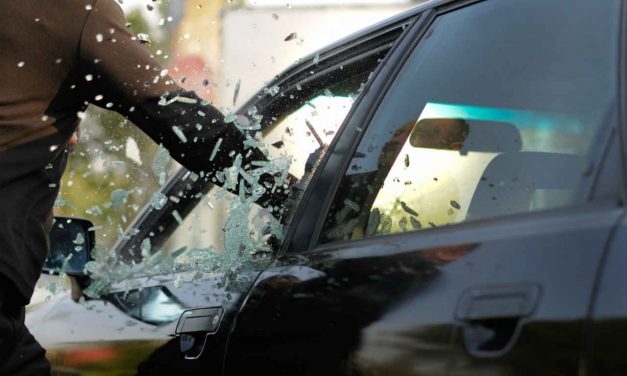 SSPE recupera 33 vehículos con reporte de robo.