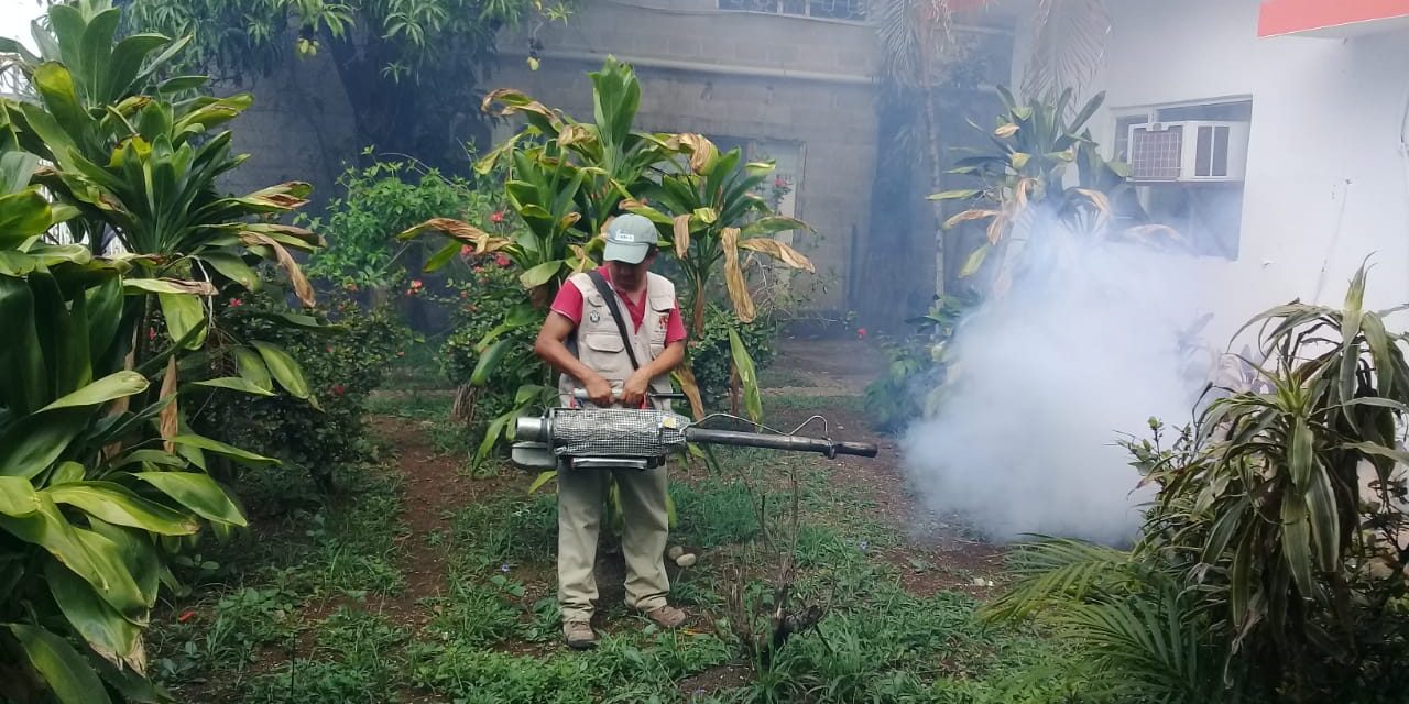 Acumula SLP 85 casos de dengue según reportes de la SS.