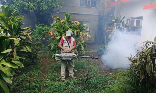 Acumula SLP 85 casos de dengue según reportes de la SS.