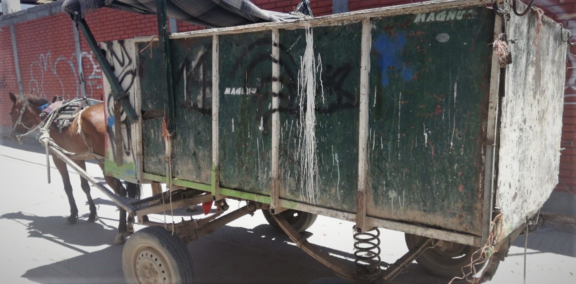 Vehículos con tracción animal son retirados por el ayuntamiento de Soledad