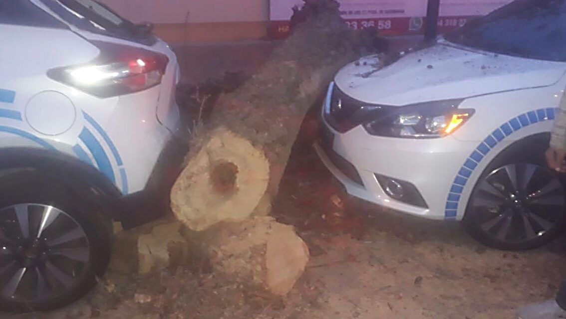 Reporta PC municipal ”daños menores” por lluvia de esta madrugada