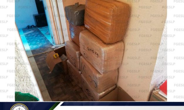 Asegura FGE más de 93 kg. de Marihuana.