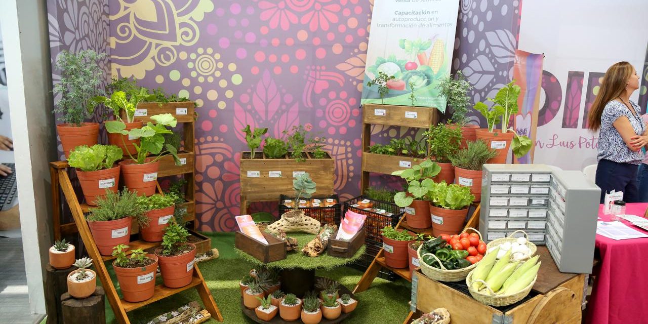 Realiza DIF estatal actividades en la Fenapo 2019.