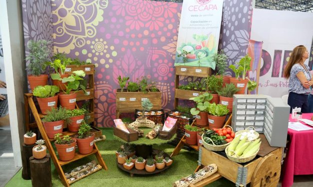 Realiza DIF estatal actividades en la Fenapo 2019.