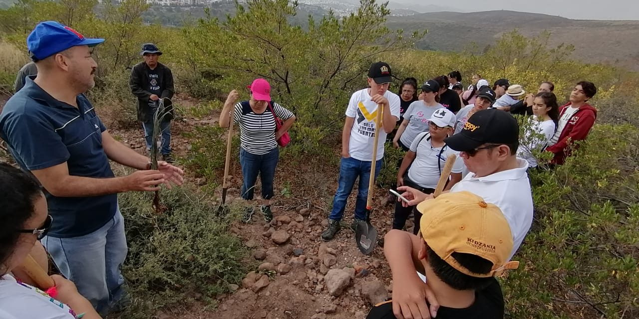 Programa de reforestación entre la CONAFOR y SEGAM se mantendrá hasta octubre.