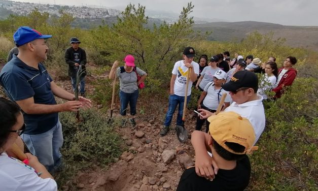 Programa de reforestación entre la CONAFOR y SEGAM se mantendrá hasta octubre.