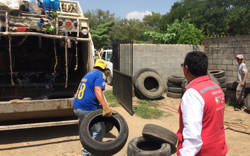 Reforzará Salud acciones de combate al vector transmisor de Dengue, Zika y Chikungunya.
