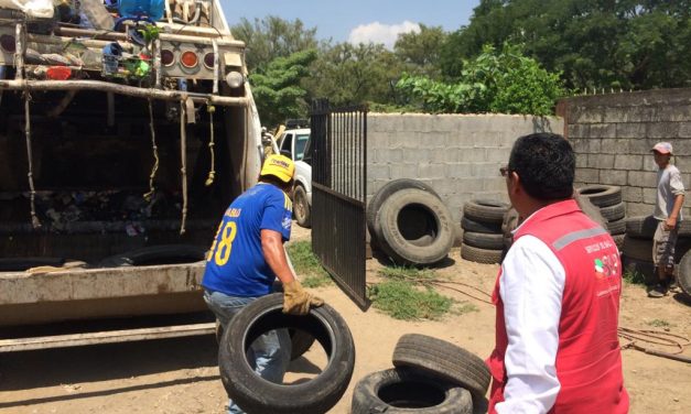 Reforzará Salud acciones de combate al vector transmisor de Dengue, Zika y Chikungunya.