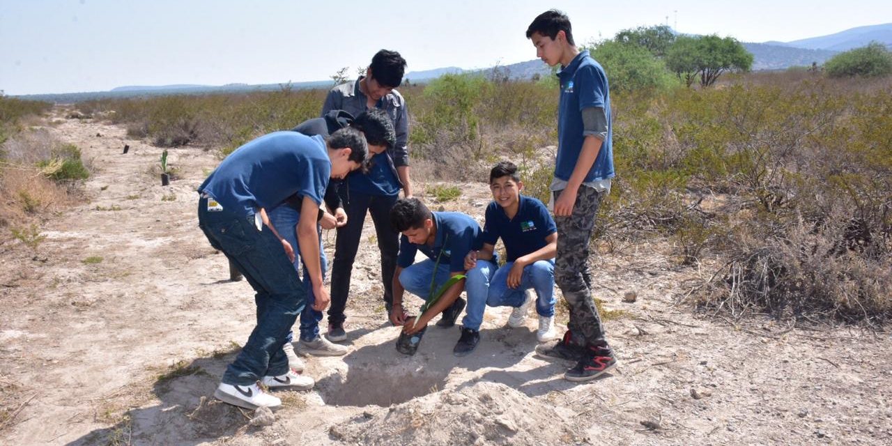 Reforestan comunidades y ejidos de Soledad.