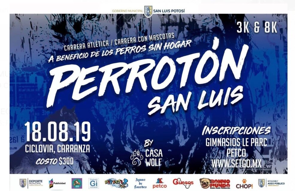 Con “Perrotón 2019”, fomenta gobierno capitalino actividades para bienestar animal
