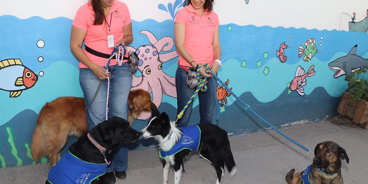 Otorgará Ayuntamiento de SLP adiestramiento canino gratuito