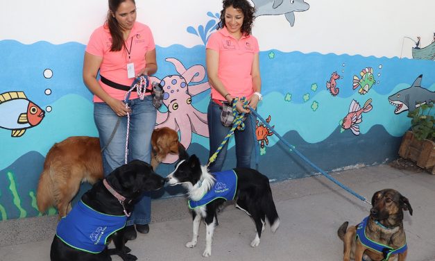 Otorgará Ayuntamiento de SLP adiestramiento canino gratuito