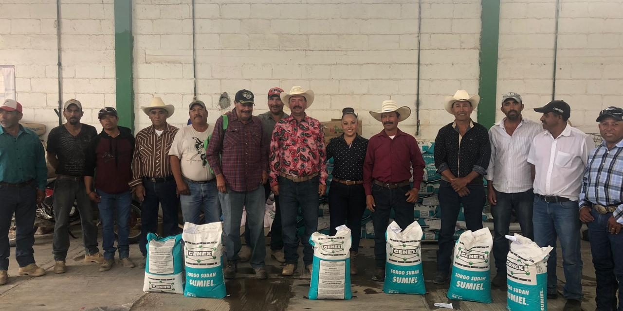 Gobierno estatal entrega semilla para bancos de forraje.