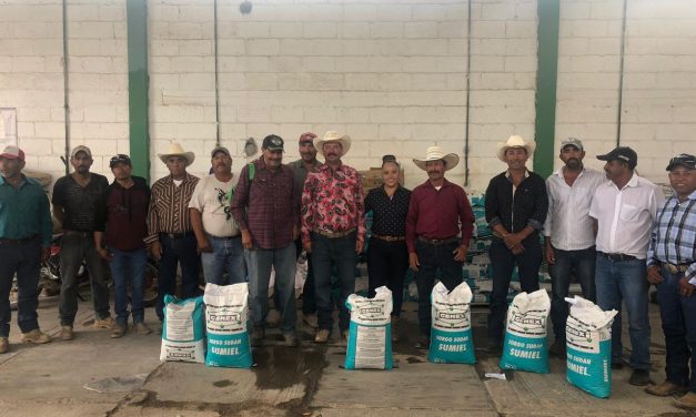 Gobierno estatal entrega semilla para bancos de forraje.
