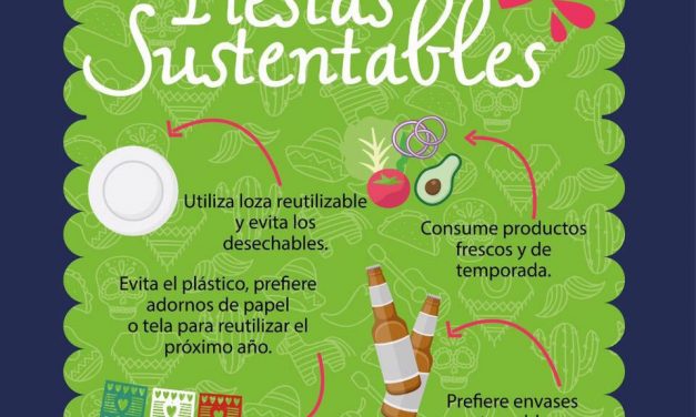 SEGAM llama a uso responsable de plásticos en fiestas patrias.