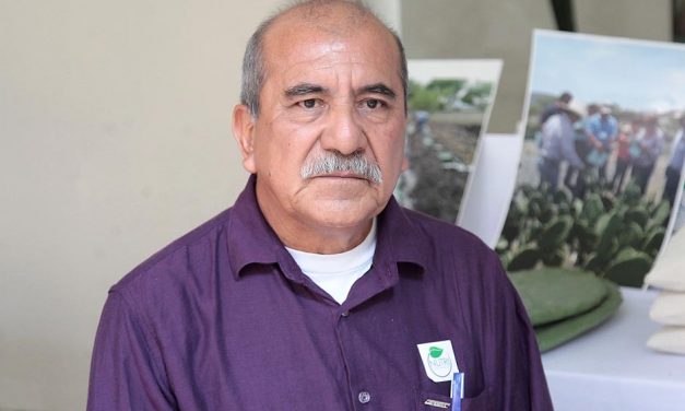 Productores de nopal, tuna y maguey, buscan certificación de sus productos.