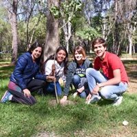 10.5 millones de árboles han sido plantados en 29 municipios potosinos.