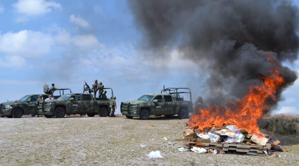 SEDENA y FGR destruyen más de 340 kilogramos de enervantes en San Luis Potosí.