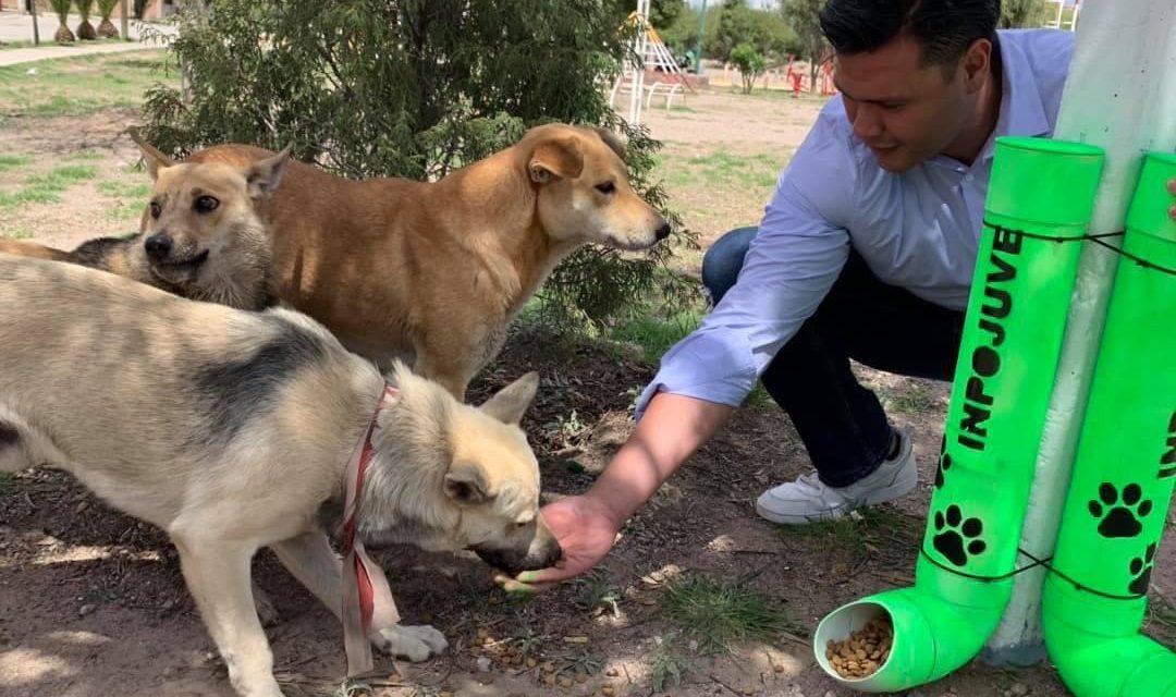 INPOJUVE fortalece la campaña: “Adopta a un amigo”