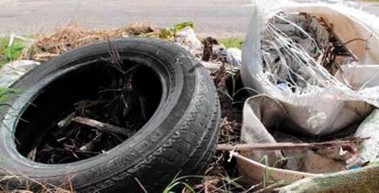 Recoge SS más de mil 400 cacharros para prevenir dengue en SLP