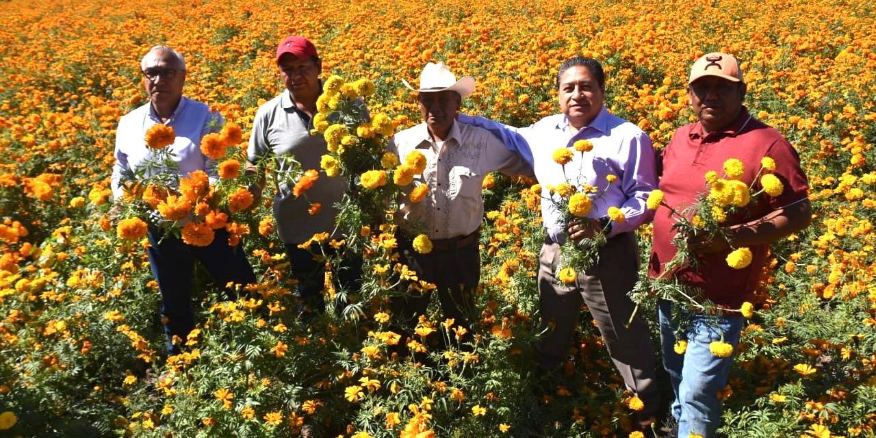 Otorgan reconocimiento a productores de Cempasúchil en Soledad.