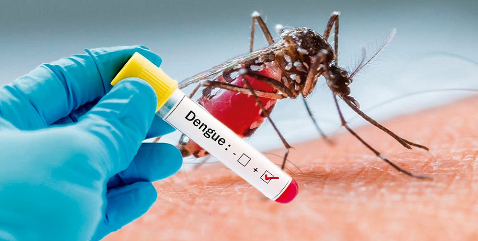 Convoca PC y Salud a reforzar medidas preventivas contra el dengue.