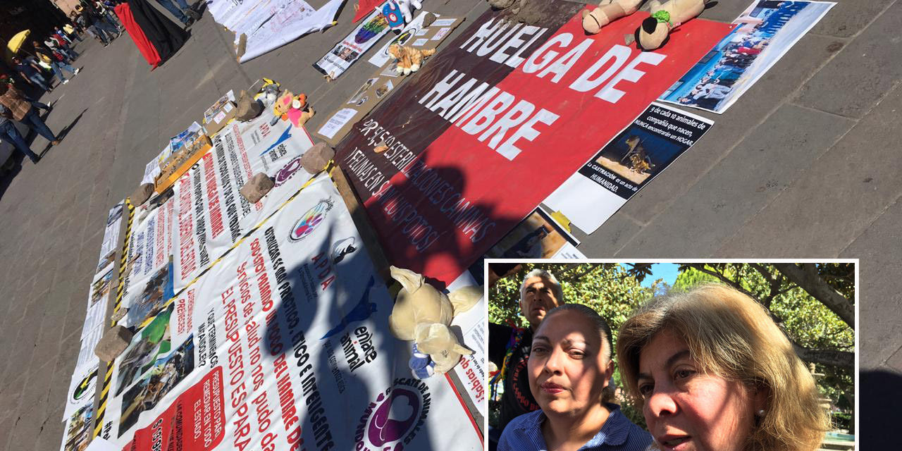Asociaciones Civiles protectoras de animales mantienen huelga de hambre frente a Palacio de Gobierno.