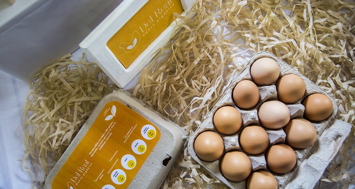 Desarrollan estudiantes de la UASLP producción de Huevo Orgánico.