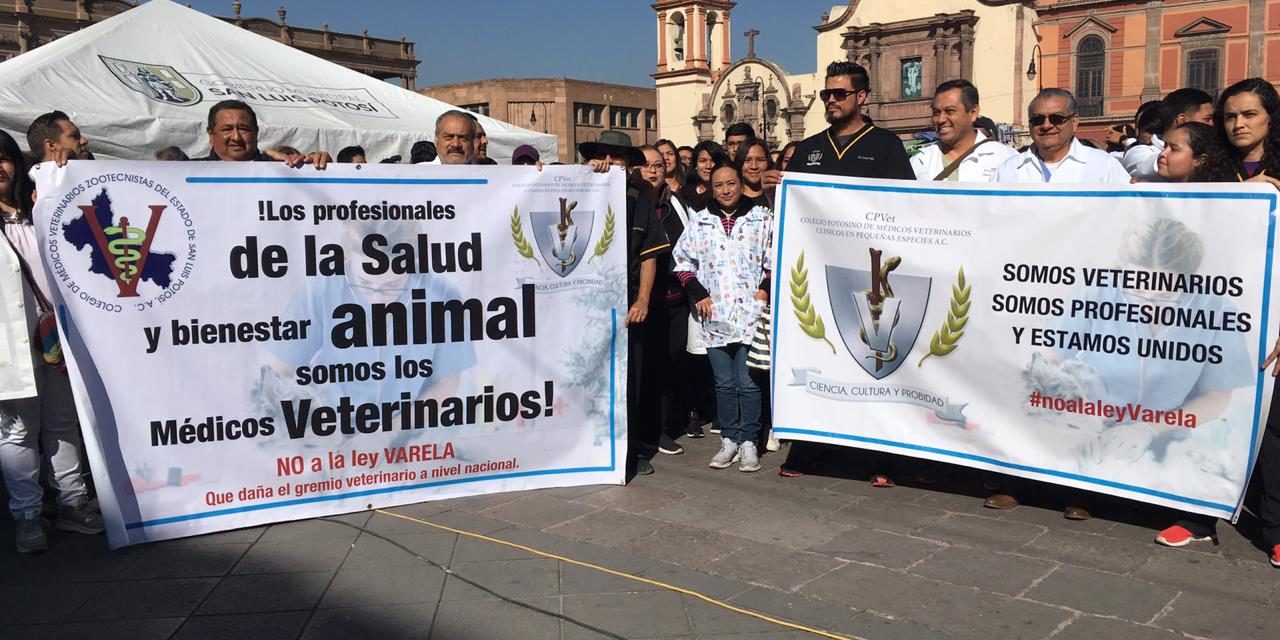Médicos Veterinarios protestan contra diseño de leyes para el cuidado animal.