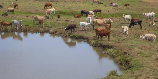 Mil 626 bordos y ollas de agua construidos para enfrentar sequía.